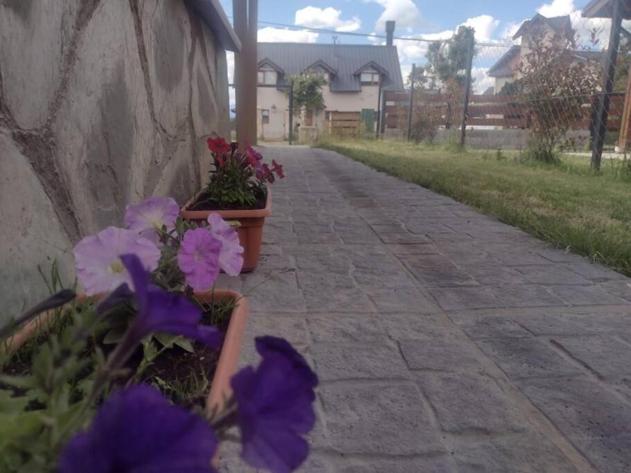 Apartamento Luminosa Con Jardin, Zona Tranquila *